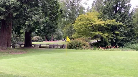 Yellow Golf flag Stock Footage 136561622