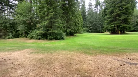 Yellow Golf flag Stock Footage 136561627