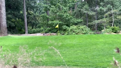 Yellow Golf flag Stock Footage 136561632