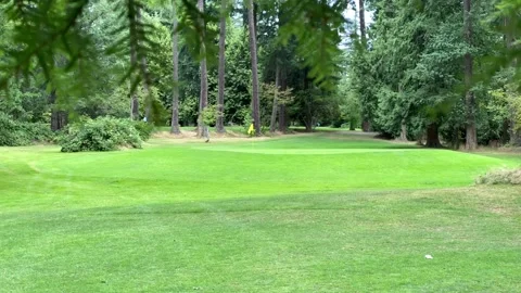 Yellow Golf flag Stock Footage 136561633