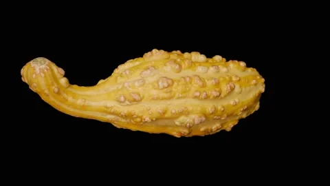 Yellow Gourd Squash Rotating Slow on Black BG, Motion Control, Commercial Stock Footage 140154960