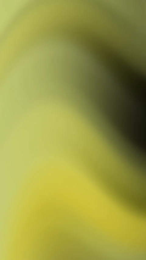 Yellow gradient background, fading from light to dark. Stock Footage 280407537