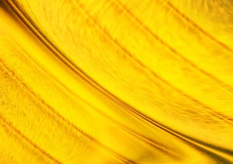 Yellow gradient shiny soft grain glitter abstract background with copy spac.. Stock Illustration