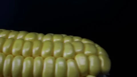 Yellow Grains Corn Cob Dolly Shot close up. Closeup Fresh Sweet Corn on Cob Stock Footage 160554616
