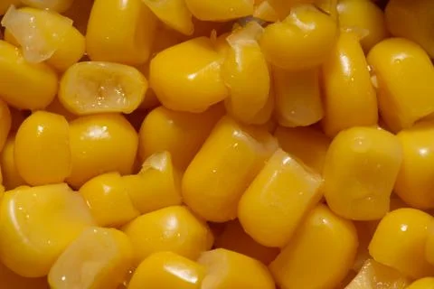 Yellow grains of corn macro, yellow grains texture Stock Photos