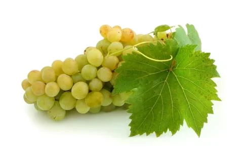 Yellow grape cluster Stock Photos