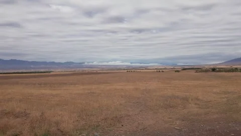 Yellow grass on a boundless field with a view Video stock 250821893