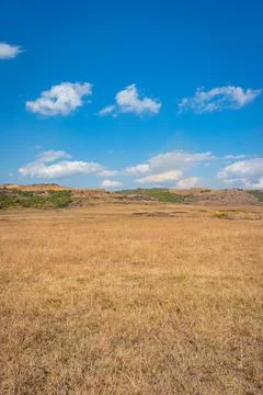 Yellow grass countryside fields with bright blue sky at morning from flat ang Foto stock