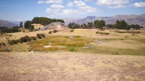 Yellow grass with distant trees, distant rock and mountains Stock Footage 293094658