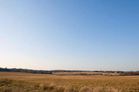Yellow grass field Stock Photos