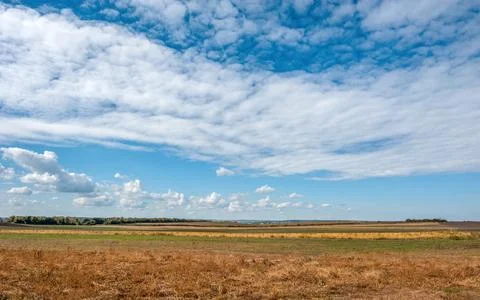 Yellow grass, fields on the horizon under a blue sky with clouds Stock Photos