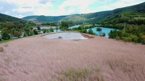 Yellow grass by the lake Stock Footage 154386746