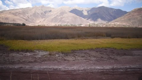Yellow grass with mountains and cloudy sky Stock Footage 293094633