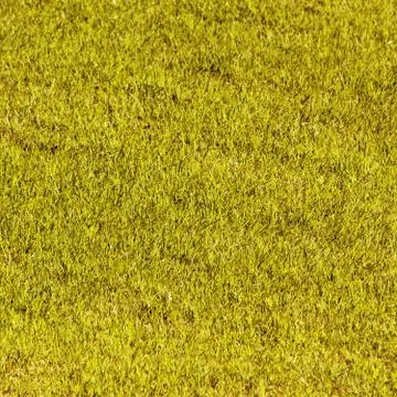 Yellow grass Stock Photos