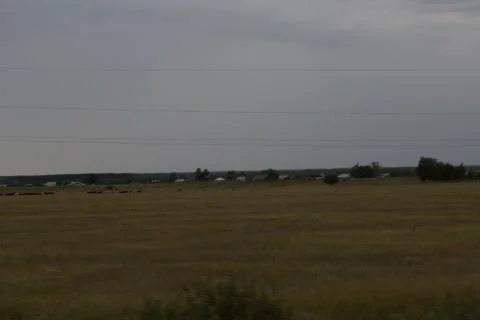 Yellow grass in the steppe Stock Photos