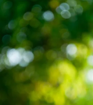 Yellow green background Stock Photos