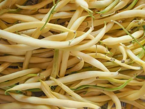 Yellow green string snap beans legumes vegetables Stock Photos