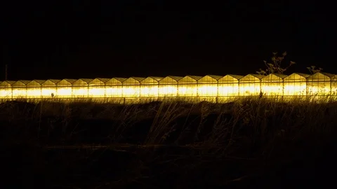 Yellow Greenhouse 库存影片 119782029
