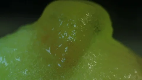 Yellow Gummy Melting Close-Up MAC Stock Footage 74752979