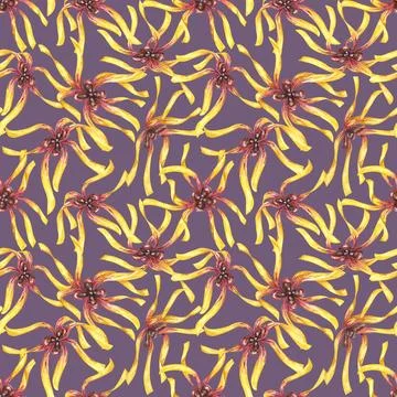 Yellow hamamelis flowers seamless pattern. Witch hazel textile, cosmetics 库存插图