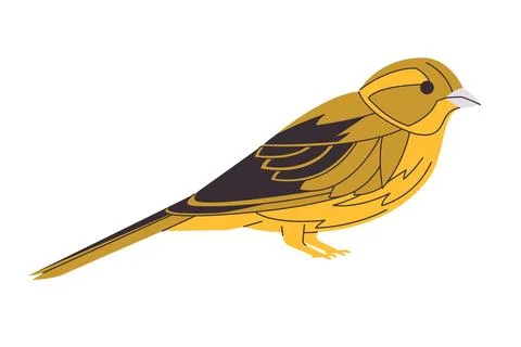 Yellow hammer bird vector drawing illustration graphic illustration Stock Illustration