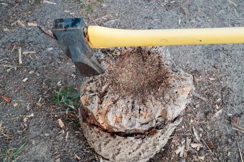 Yellow handled axe stuck into a weathered tree stump outdoors during the day Stock Photos