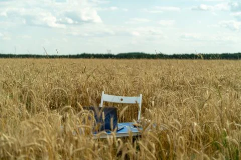 Yellow haystack in the field Stock Photos