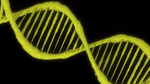 Yellow helix human DNA structure. DNA Strand, DNA molecules, Vector illustr.. Stock Footage 247078759