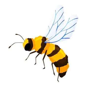Yellow Honey Bee Side View Illustration Clipart 스톡 일러스트