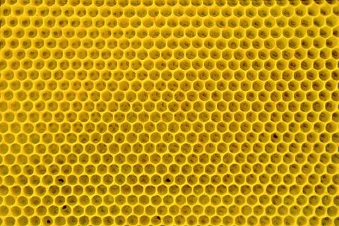 Yellow honeycomb background. Stock Photos