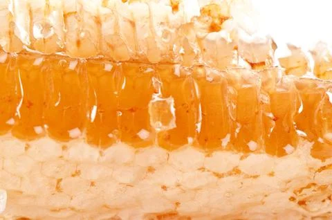Yellow honeycomb slice Stock Photos