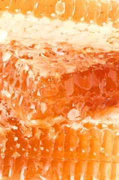 Yellow honeycomb slice Stock Photos