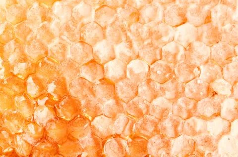 Yellow honeycomb slice Stock Photos