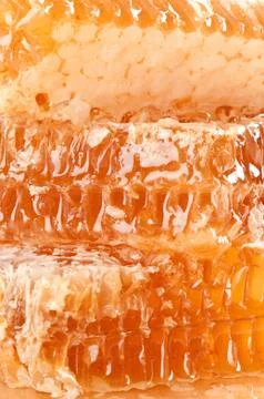 Yellow honeycomb slice Stock Photos