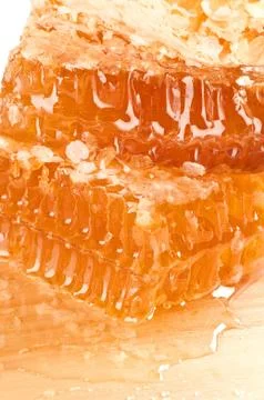 Yellow honeycomb slice Stock Photos