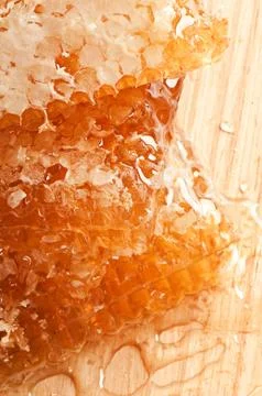 Yellow honeycomb slice Stock Photos