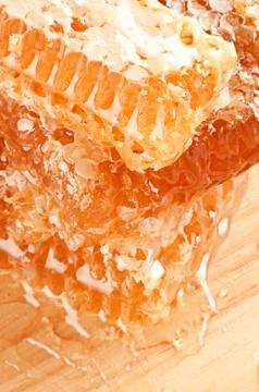 Yellow honeycomb slice Stock Photos