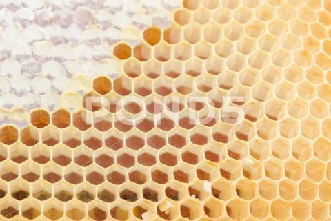 The yellow honeycombs from wax to honey to the bee houses Stock Photos