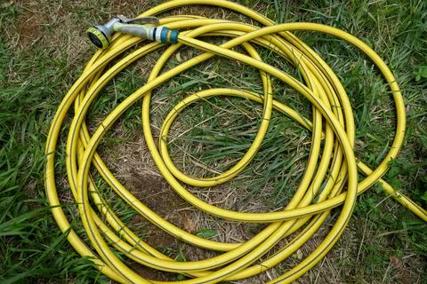 Yellow Hosepipe. Stock Photos