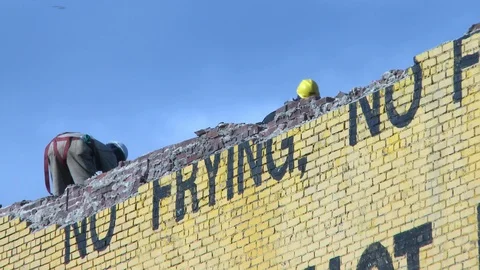 Yellow hot bird brick wall in brooklyn Stock Footage 87180535