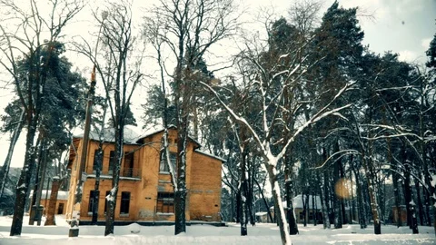 Yellow house in the forest Stock Footage 87586183