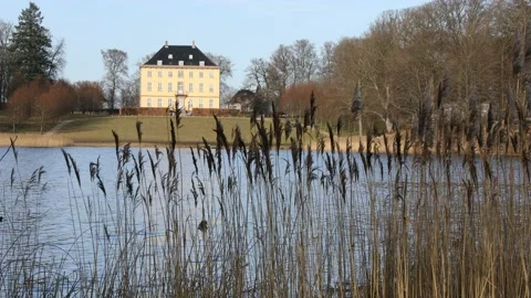 Yellow house at the lake in denmark Stock Footage 154573641