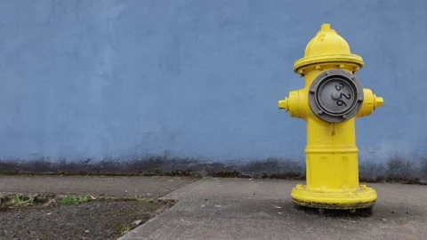 Yellow hydrant against a blue wall, a cyclist rides past Stock Footage 197010993