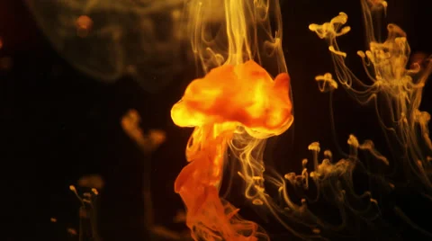 Yellow Ink Ghosts Video stock 58080768