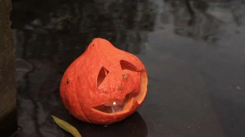 Yellow jack-o-lantern in the water 動画素材 68744455