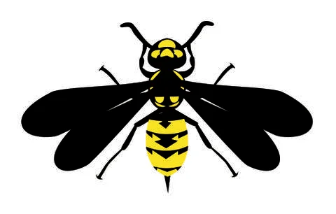 Yellow Jacket design vector Stock Illustration