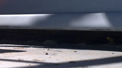 Yellow Jackets Entering Wall Video stock 64894926
