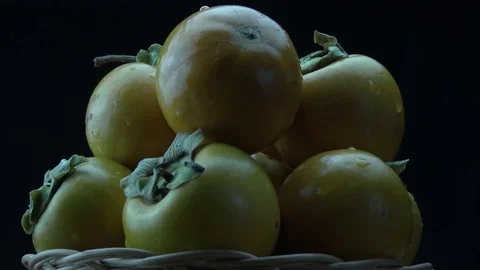 Yellow karalyok Stock-Footage 81271579