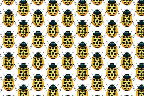 Yellow ladybird pattern on white. Insects background Stock Illustration