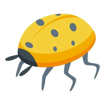 Yellow ladybug walking with black dots isometric view Stock Illustration